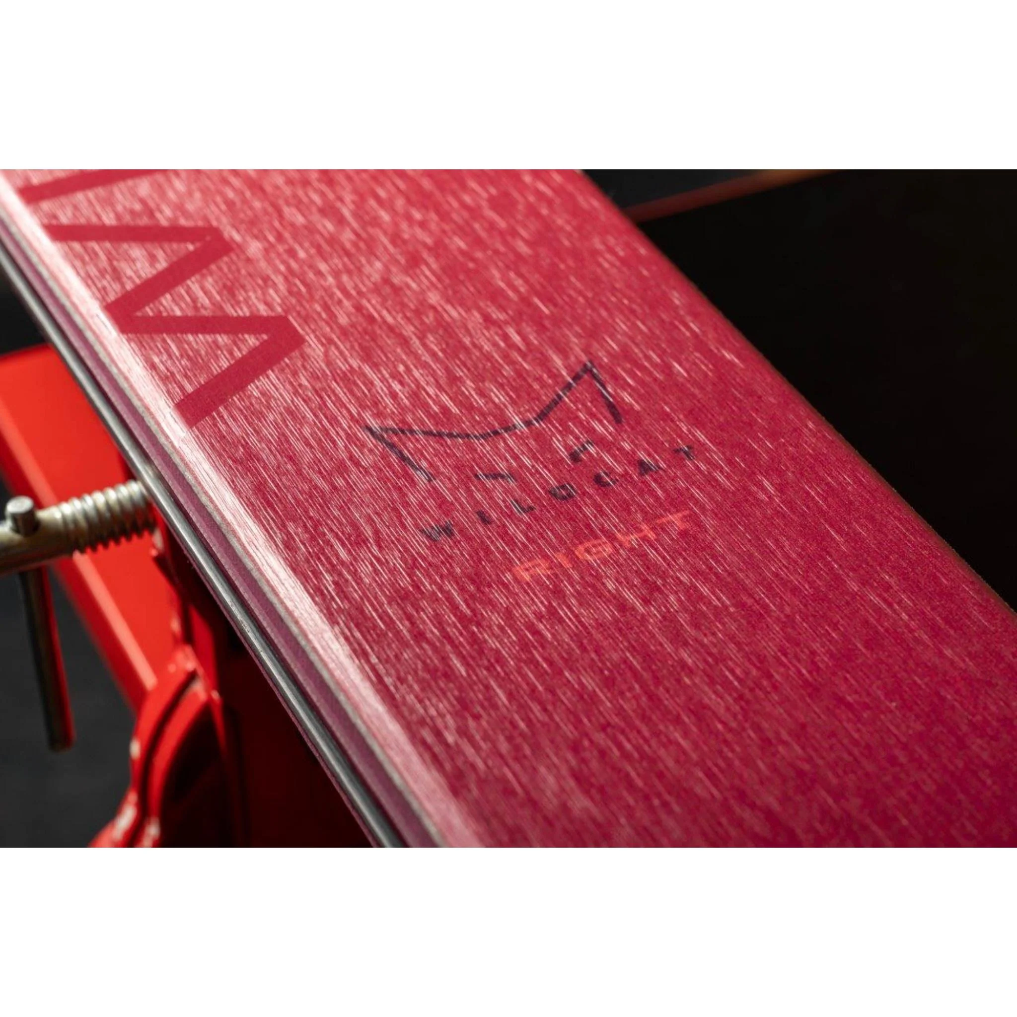 2024 Elan Wildcat 86 CX Women's Skis - Image 3